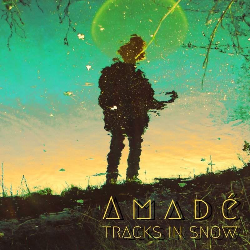 Tracks in Snow artwork